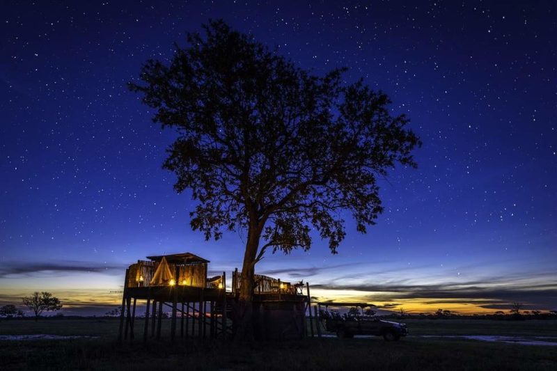 Treehouse au Linkwasha Camp - Zimbabwe | Au Tigre Vanillé