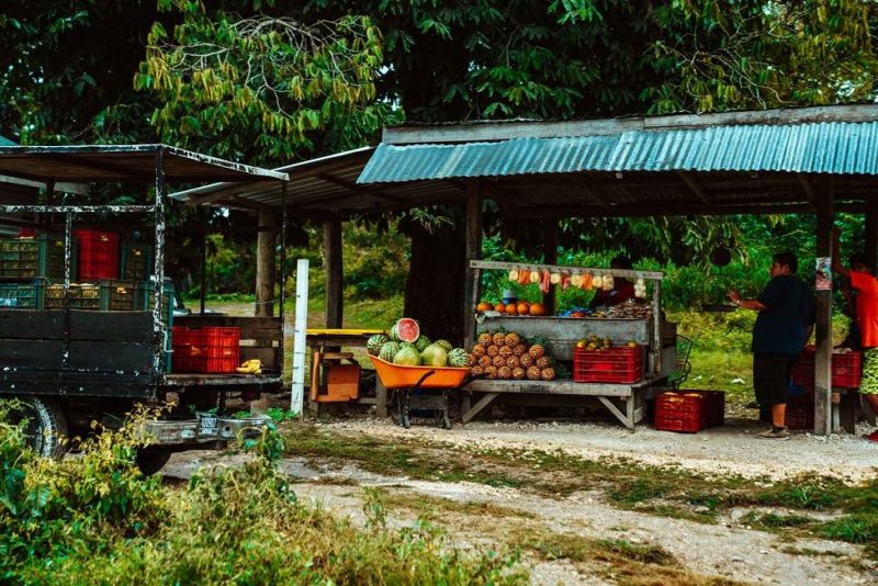 marche-punta-gorda-belize Marché de Punta Gorda - Belize | Au Tigre Vanillé