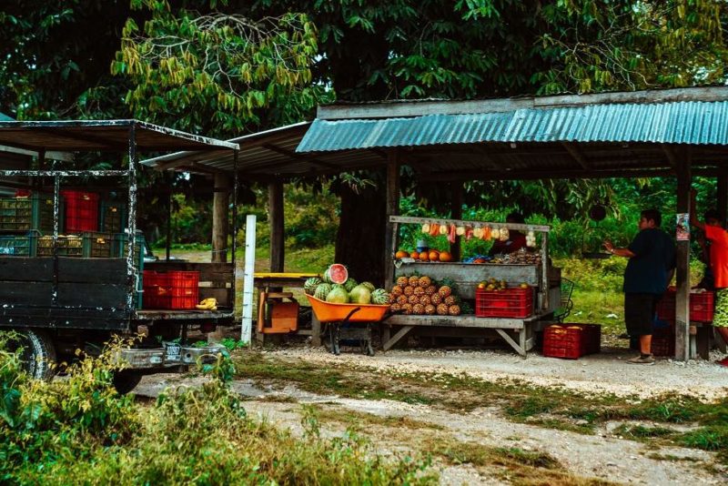 Marché de Punta Gorda - Belize | Au Tigre Vanillé