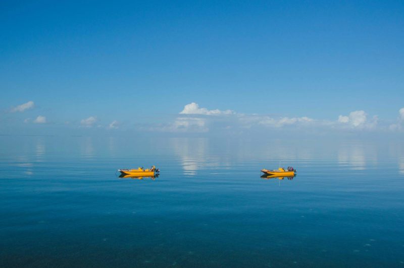 Explorer les alentours de l'île de Pemba - Tanzanie | Au Tigre Vanillé