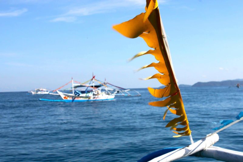 Navigation au large de Palawan - Philippines | Au Tigre Vanillé