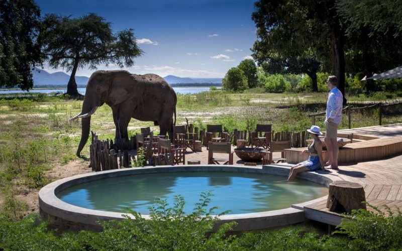 Nyamatusi Camp dans le parc de Mana Pools - Zimbabwe | Au Tigre Vanillé