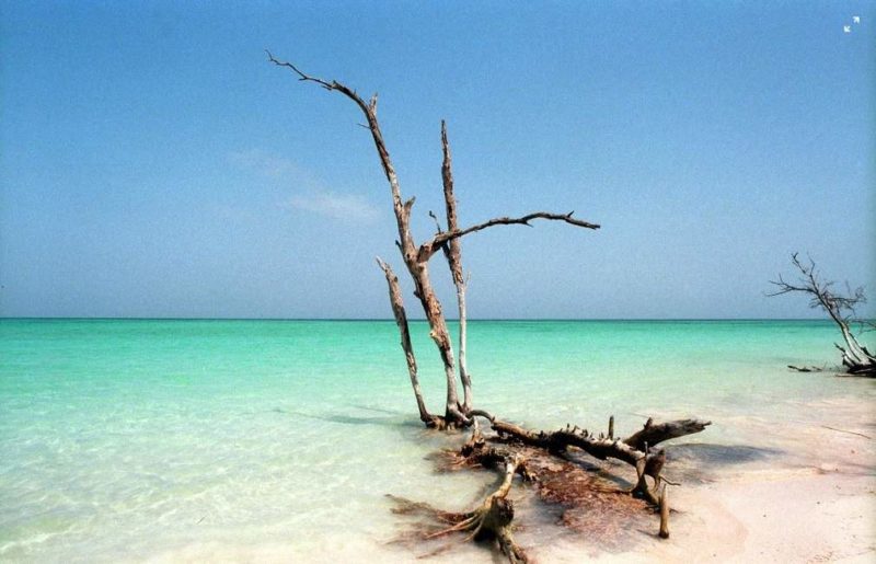 Plage de Cayo Laevisa - Cuba | Au Tigre Vanillé