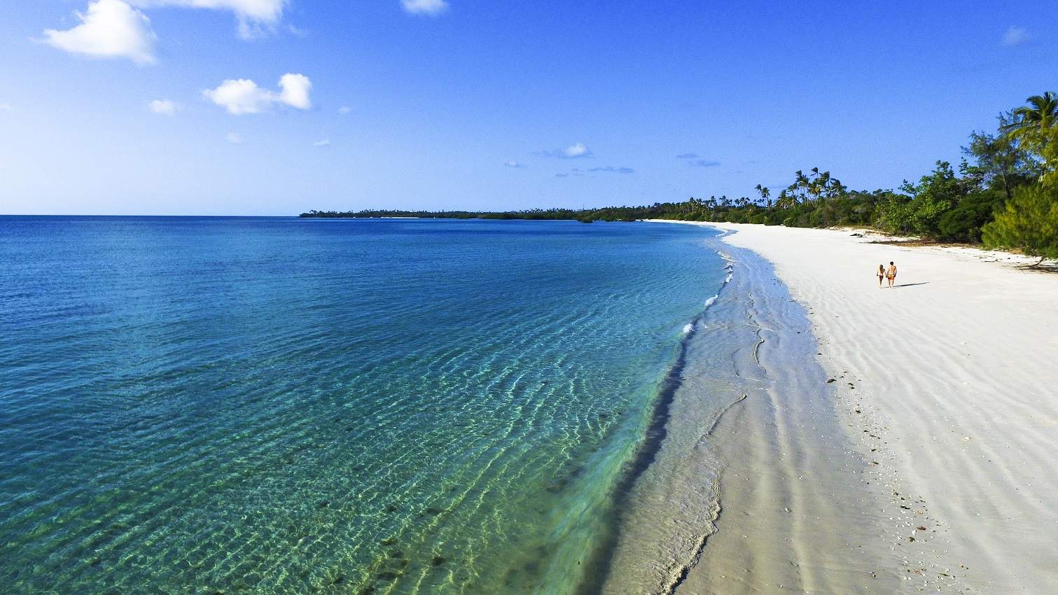 Longue plage vierge sur l'île de Mafia - Tanzanie | Au Tigre Vanillé