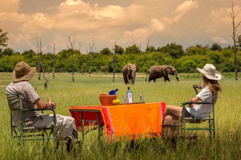 Diner dans la brousse au Rhino Camp - Zimbabwe | Au Tigre Vanillé