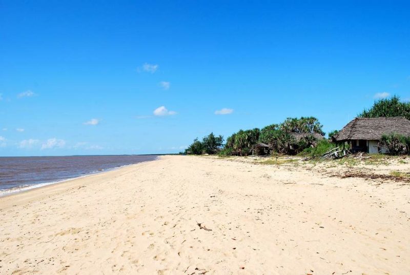 Plage dans le parc national de Saadani - Tanzanie | Au Tigre Vanillé