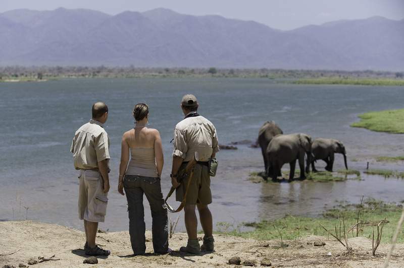 Safari à pied dans le parc de Mana Pools - Zimbabwe | Au Tigre Vanillé