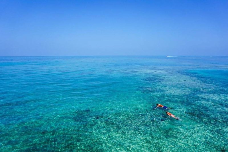 Snorkeling dans l'océan Indien à Zanzibar - Tanzanie | Au Tigre Vanillé