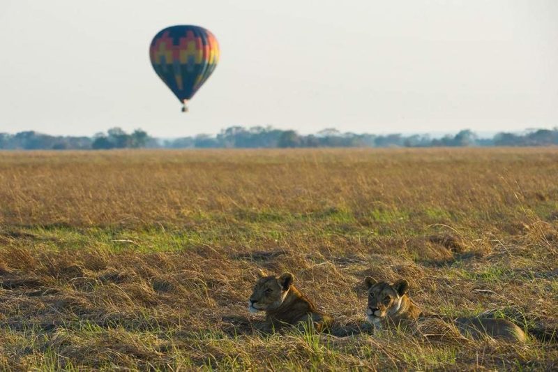 Survol en montgolfière du parc de Kafue - Zambie | Au Tigre Vanillé