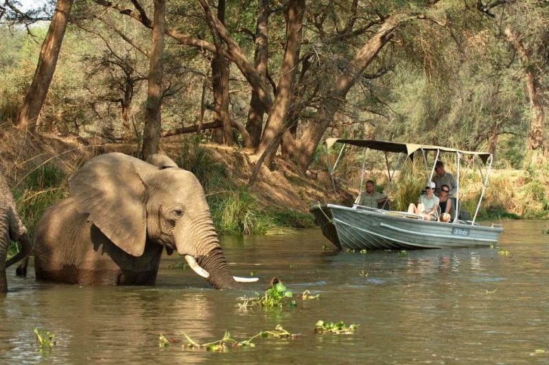 Safari en bateau dans le parc de Lower Zambezi - Zambie | Au Tigre Vanillé