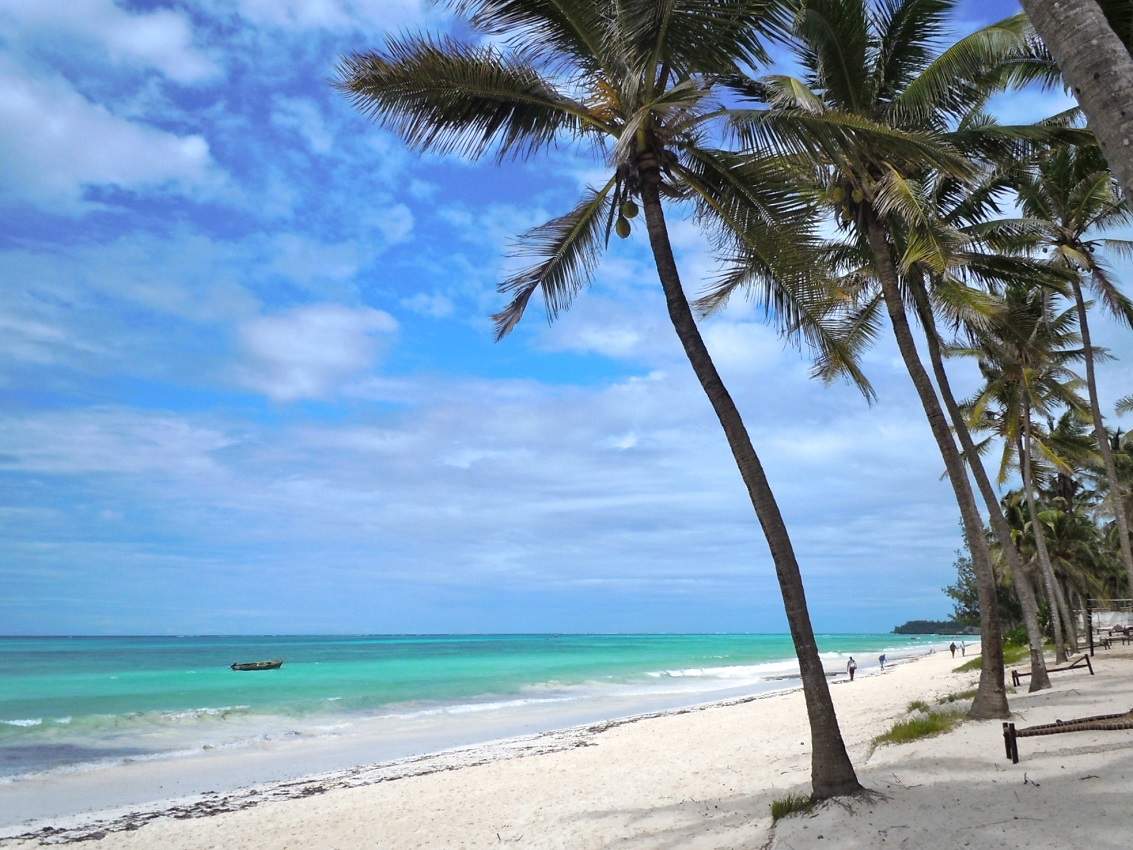 Cocotiers et sable fin sur une plage de Zanzibar - Tanzanie | Au Tigre Vanillé