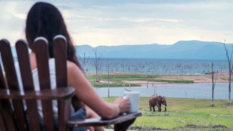 Observation de la faune du parc de Matusadona - Zimbabwe | Au Tigre Vanillé