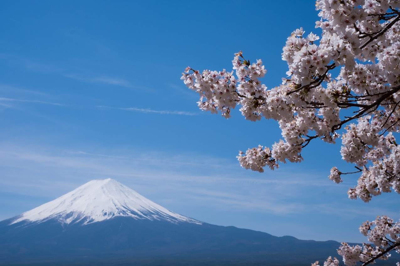 Que voir et que faire autour du Mont Fuji ? Au Tigre Vanillé, spécialiste  Japon