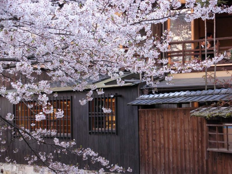 Séjour à Kyoto - Japon | Au Tigre Vanillé