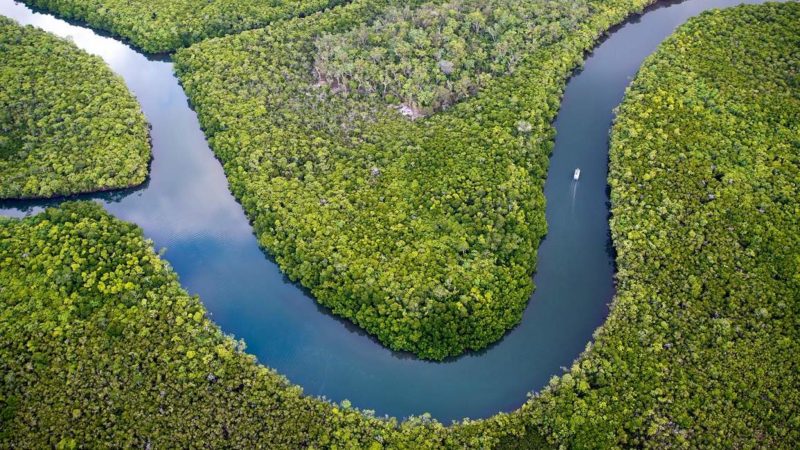 Balade dans la forêt de Daintree - Australie | Au Tigre Vanillé