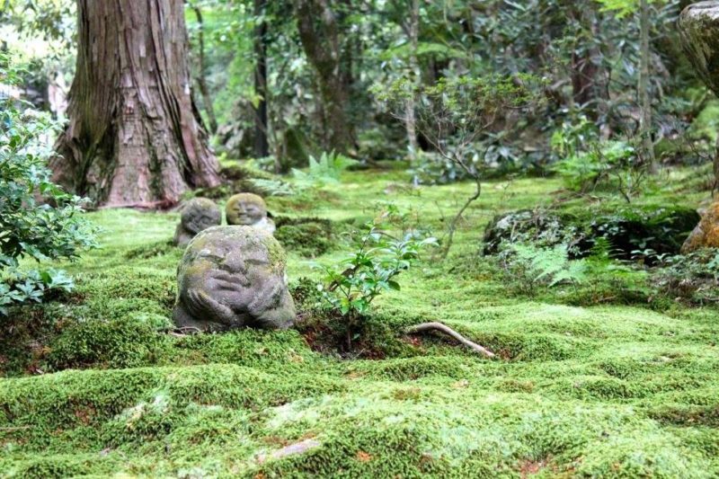 Flâner dans les jardins, forêts et campagnes de Kyoto - Japon | Au Tigre Vanillé