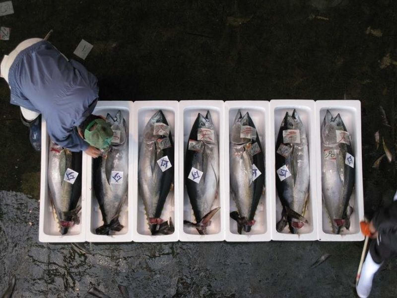 kiikatsura-marche-poissons-japon Marché aux poissons de Kiikatsura - Japon | Au Tigre Vanillé