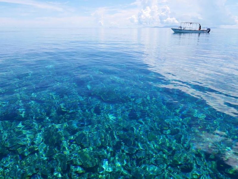 Eaux et jungles d'Iriomote dans l'archipel d'Okinawa - Japon | Au Tigre Vanillé