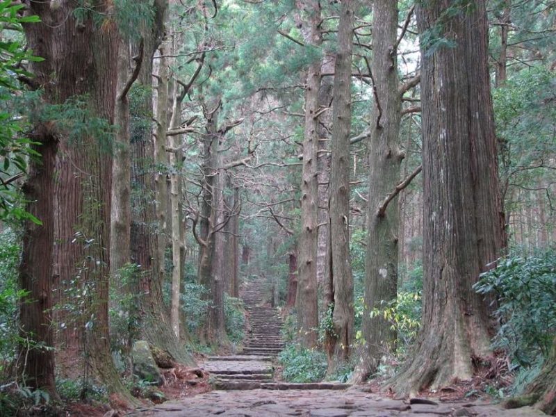 Randonnée dans le Tohoku - Japon | Au Tigre Vanillé