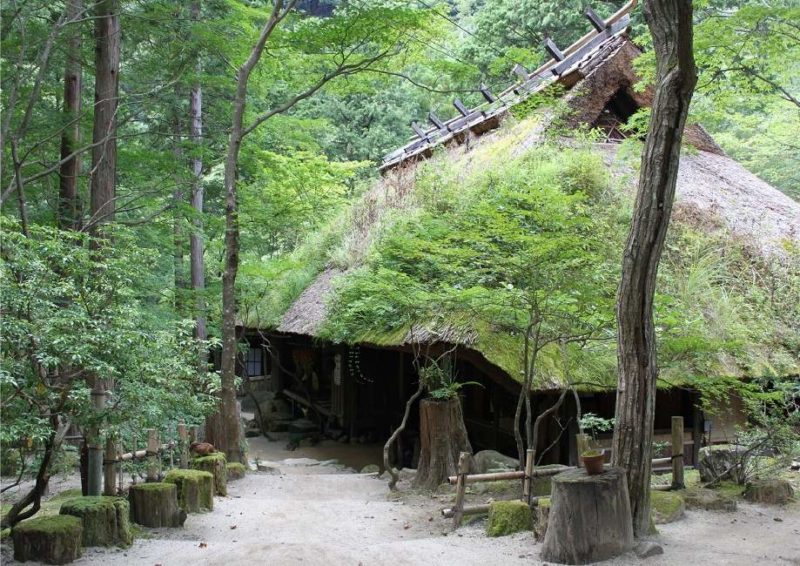 Repas traditionnel dans une forêt enchantée - Japon | Au Tigre Vanillé