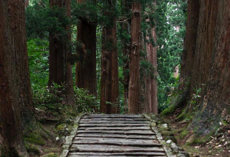 shirakami-sanchi-randonner-tohoku-japon Randonnée dans les montagnes de Shirakami-Sanchi - Japon | Au Tigre Vanillé