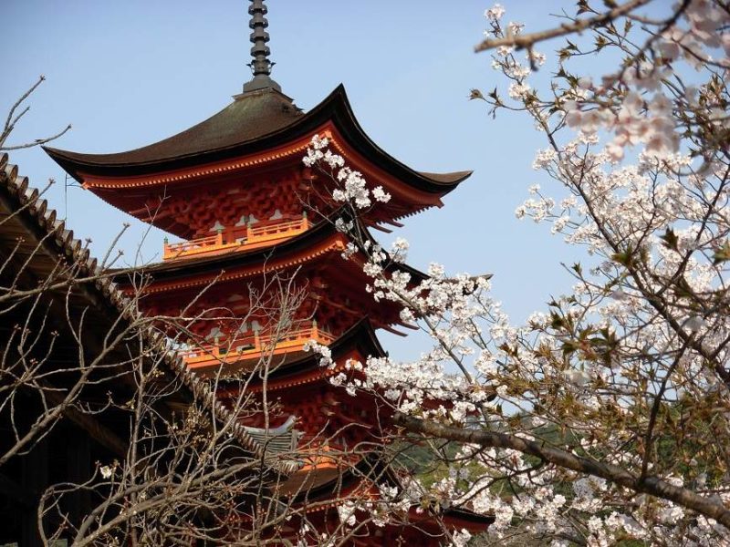 temple-ile-miyajima-japon Séjourner sur l'île de Miyajima - Japon | Au Tigre Vanillé
