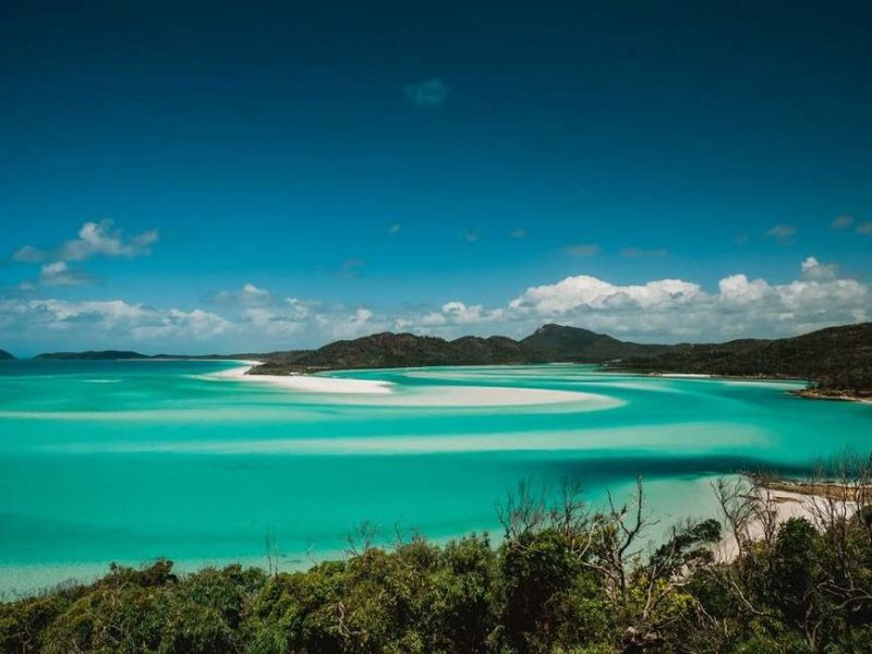 whitsunday-cairns-island Séjour sur l'île Hamilton - Australie | Au Tigre Vanillé