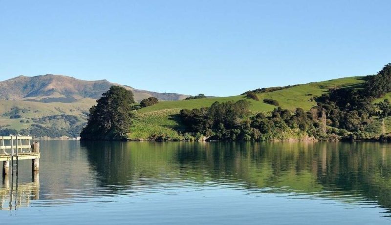 Randonnée sur la péninsule de Banks - Nouvelle-Zélande | Au Tigre Vanillé