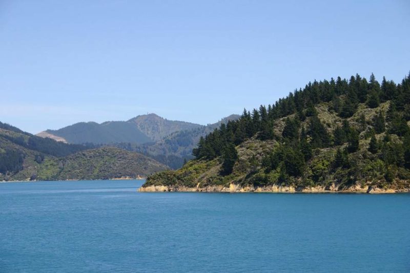 balade-marlboroughsounds-nouvellezelande Promenade autour du fjord de Marlborough Sounds - Nouvelle-Zélande | Au Tigre Vanillé