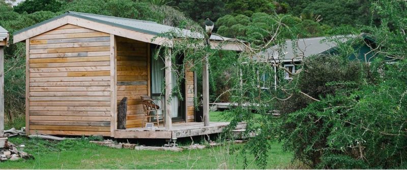 Séjour dans une cabane de Kapiti Island - Nouvelle-Zélande | Au Tigre Vanillé