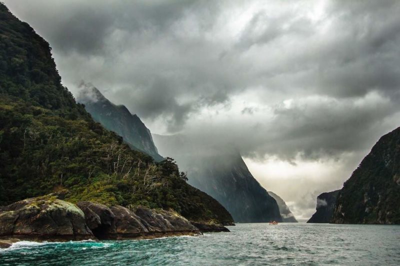 Croisière sur le Milford Sound - Nouvelle-Zélande | Au Tigre Vanillé