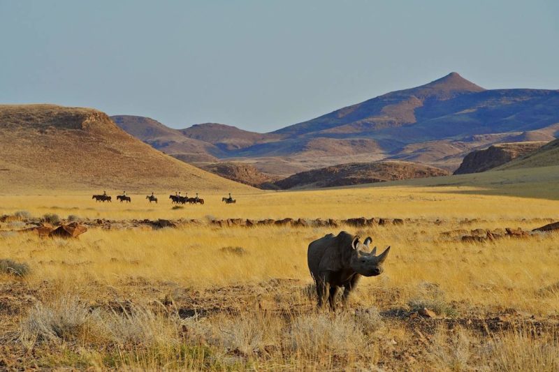 Randonnée à cheval dans le Damaraland - Namibie | Au Tigre Vanillé