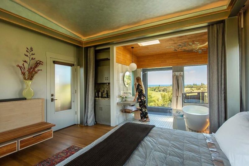 Séjour à Hapuku Lodge & Tree Houses à Kaikoura - Nouvelle-Zélande | Au Tigre Vanillé