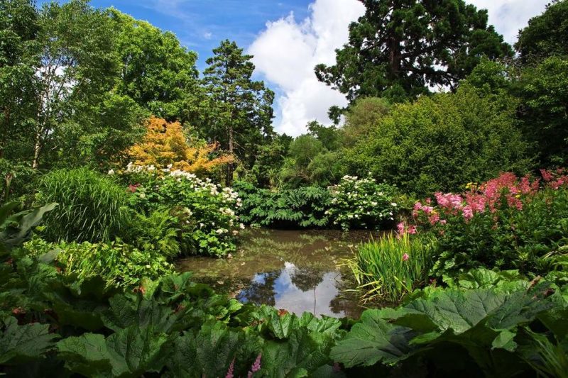 Promenade dans le jardin botanique de Christchurch - Nouvelle-Zélande | Au Tigre Vanillé