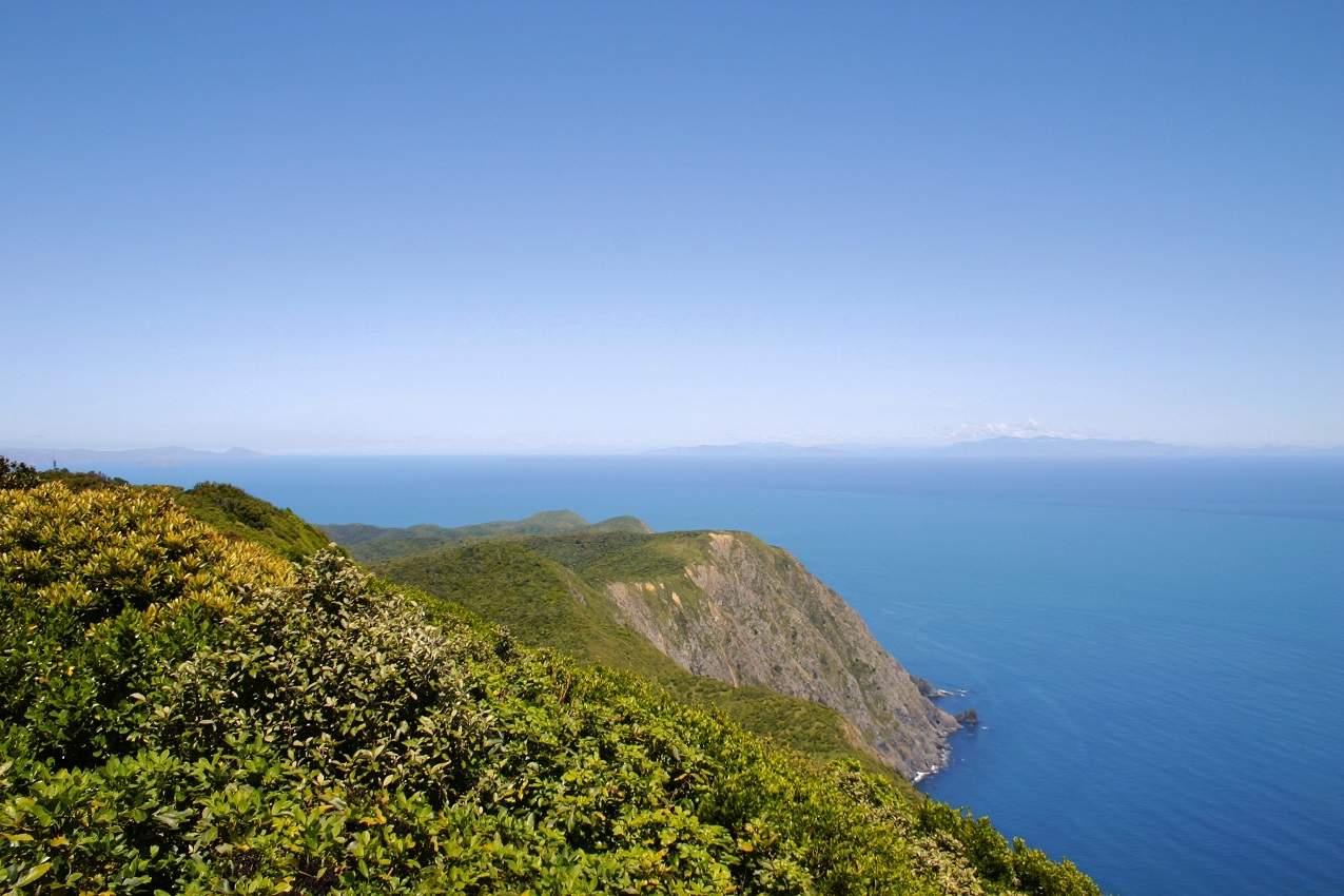Découverte de Kapiti Island sur l'île du Nord - Nouvelle-Zélande | Au Tigre Vanillé