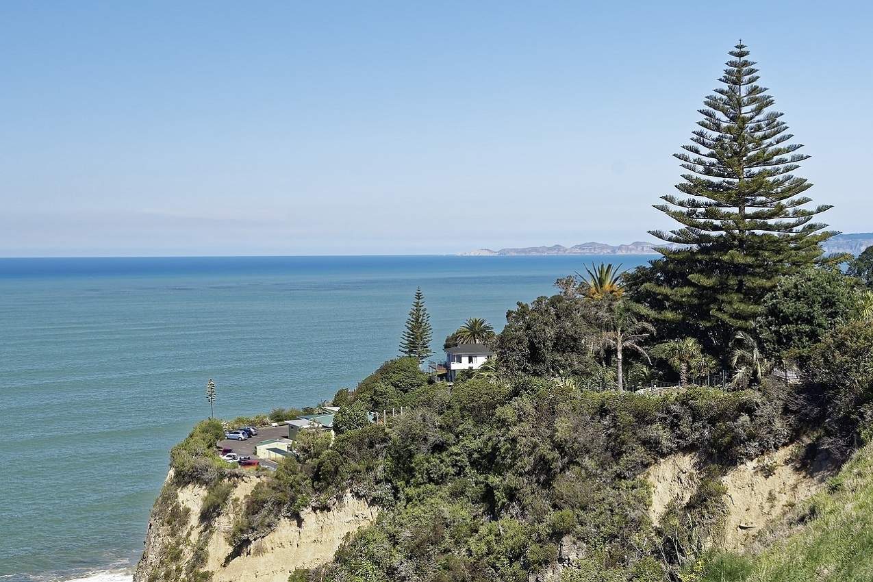 Balade sur le littoral de Napier - Nouvelle-Zélande | Au Tigre Vanillé
