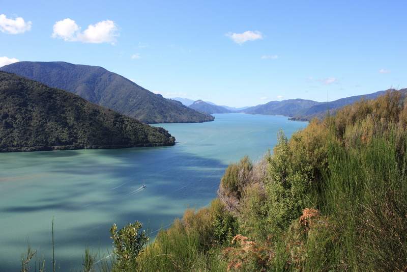 marlboroughsounds-randonnee-queen-charlotte Randonnée sur la Queen Charlotte Track à Marlborough Sounds - Nouvelle-Zélande | Au Tigre Vanillé