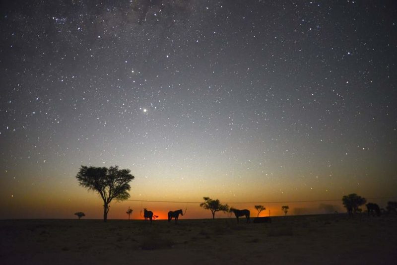 Randonnée équestre de plusieurs jours - Namibie | Au Tigre Vanillé