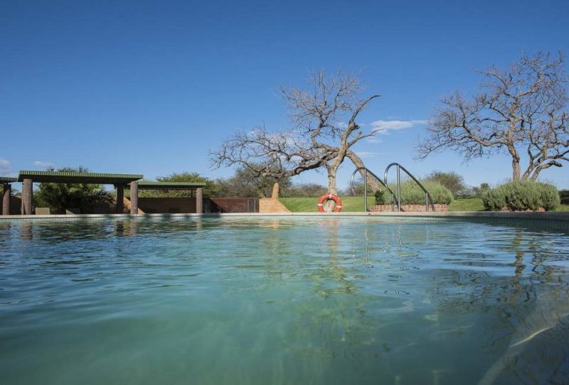 Piscine de l'Okonjima Lodge - Namibie | Au Tigre Vanillé