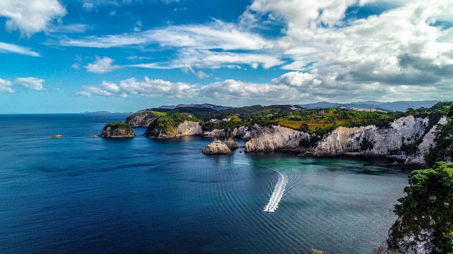 Découverte de la péninsule de Coromandel - Nouvelle-Zélande | Au Tigre Vanillé
