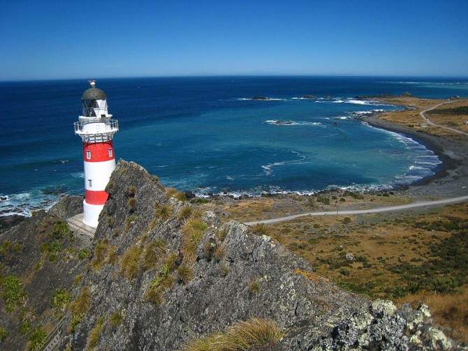 Excursion à Cape Palliser - Nouvelle-Zélande | Au Tigre Vanillé