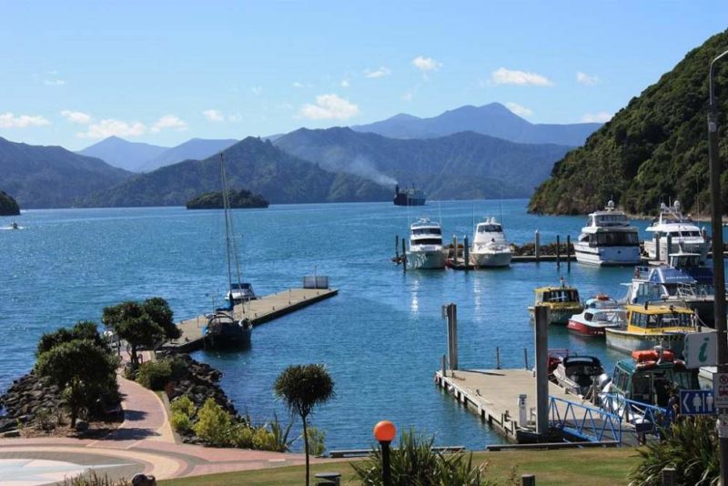 Flâner dans la petite ville de Picton - Nouvelle-Zélande | Au Tigre Vanillé