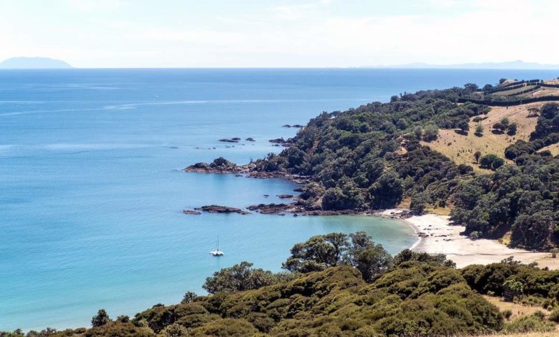 Excursion sur l'île de Waiheke - Nouvelle-Zélande | Au Tigre Vanillé