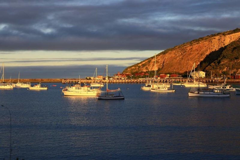 Promenade sur le port de Oamaru - Nouvelle-Zélande | Au Tigre Vanillé