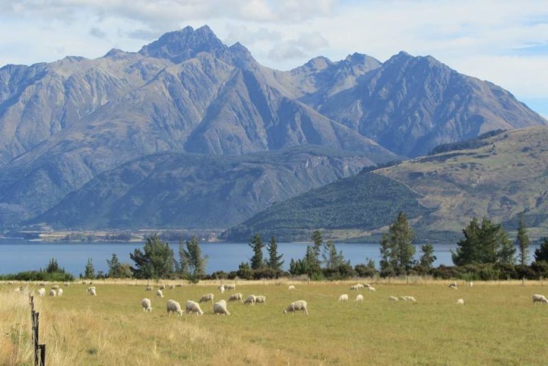 Promenade autour du lac Wakatipu - Nouvelle-Zélande | Au Tigre Vanillé