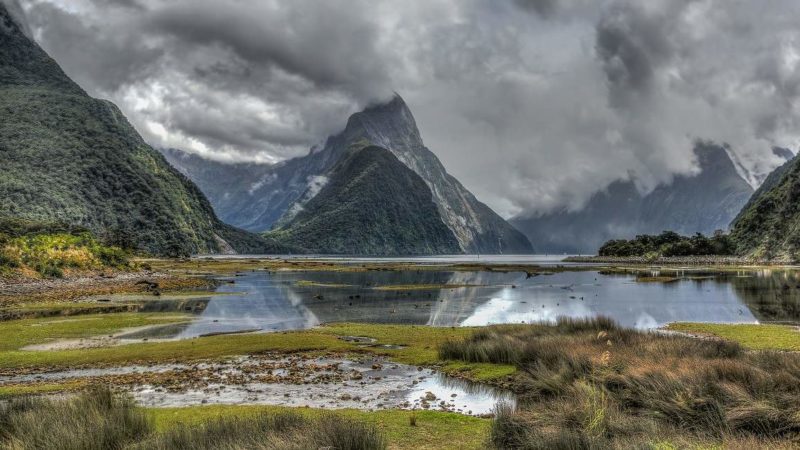 Randonnée dans entre les fjords de la région du Fiordland - Nouvelle-Zélande | Au Tigre Vanillé