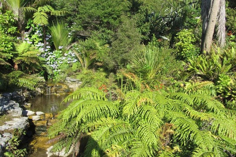 Randonnée dans le parc de Paparoa - Nouvelle-Zélande | Au Tigre Vanillé