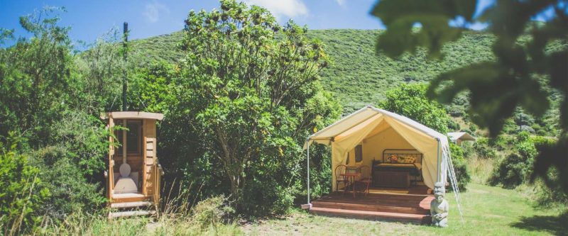 Tente au coeu de Kapiti Island - Nouvelle-Zélande | Au Tigre Vanillé