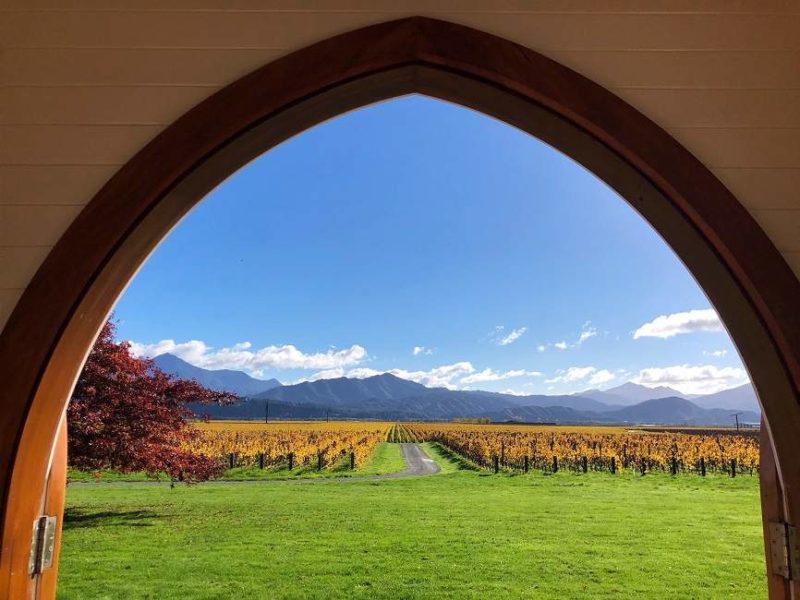 vignoble-closhenri-marlborough-nouvellezelande Dégustation et visite du vignoble de Clos Henri - Nouvelle-Zélande | Au Tigre Vanillé
