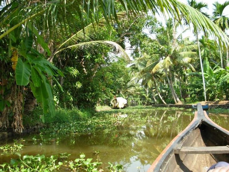 Croisière dans les backwaters de Kumarakom à Cochin en Inde du Sud | Au Tigre Vanillé